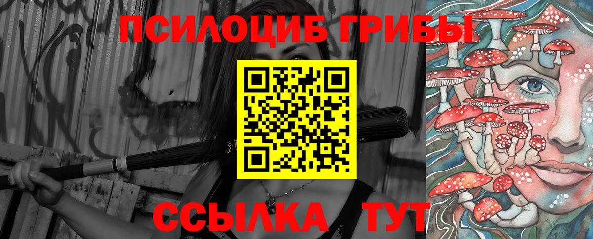Псилоцибиновые грибы мухоморы  Псилоцибиновые грибы Cubensis  Саяногорск  Вход с VPN 